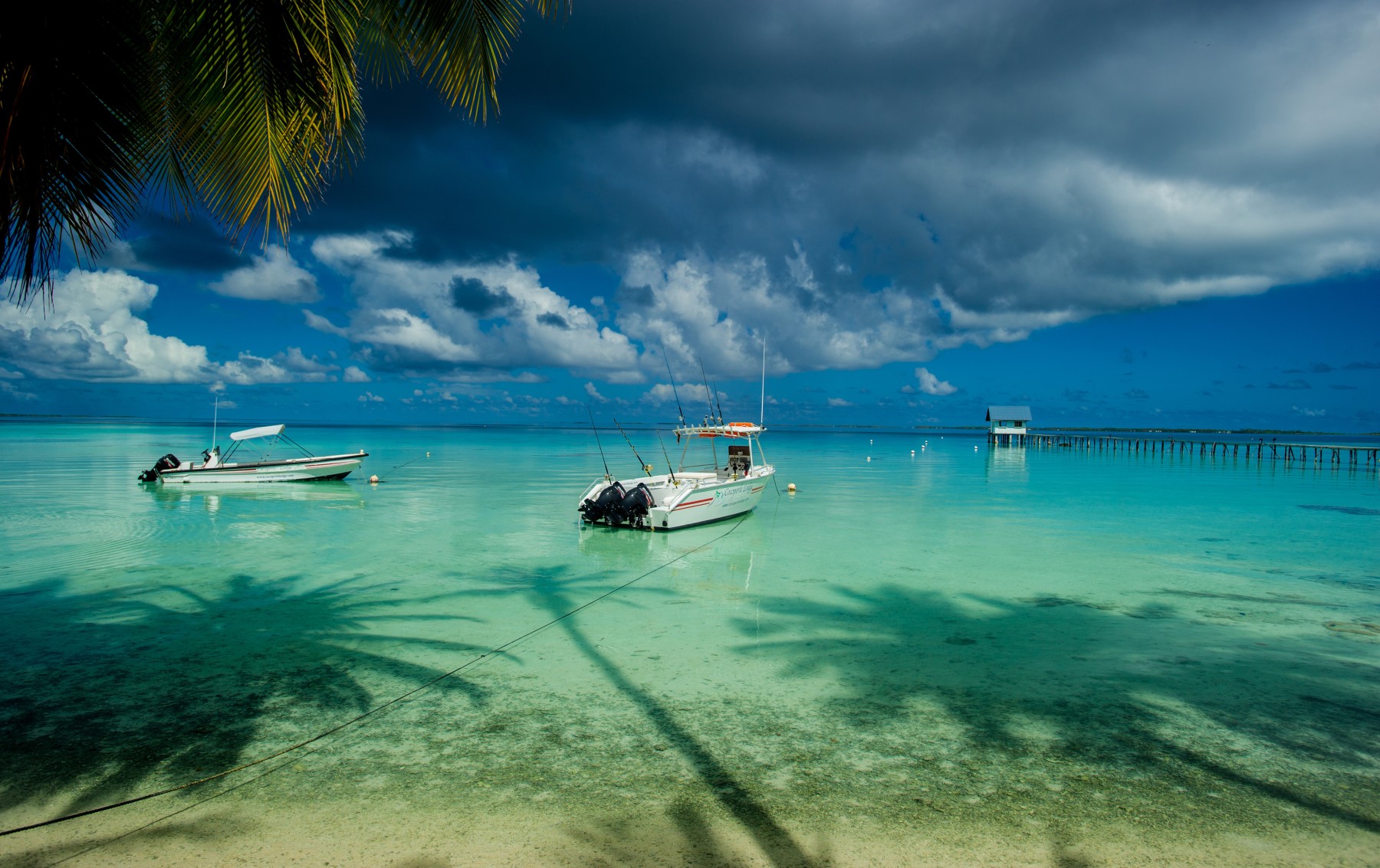 Pension Cocoperle Lodge